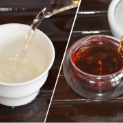 2015年勐娥古树茶+2012年枣香净韵生熟套装