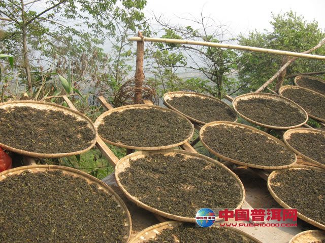 普洱茶