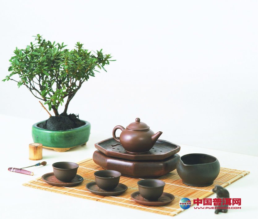 普洱茶