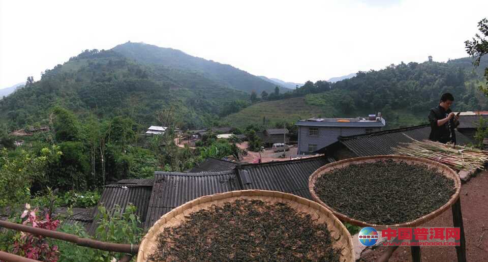 <u><a href='http://www.puer10000.com/puerzhishi/32854.html' target='_blank'>ն</a></u>