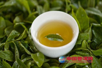 茶叶中的稀土元素从何而来?-PUER10000号-普