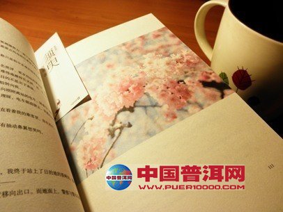 <u><a href='http://www.puer10000.com/puerzhishi/32854.html' target='_blank'>ն<u><a href='http://www.puer10000.com/puerzhishi/100997.html' target='_blank'></a></u></a></u>