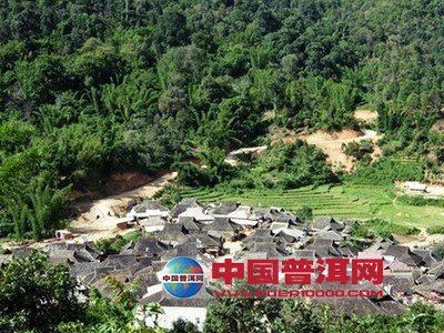 <u><a href='http://www.puer10000.com/puerzhishi/32854.html' target='_blank'>ն<u><a href='http://www.puer10000.com/puerzhishi/100997.html' target='_blank'></a></u></a></u>
