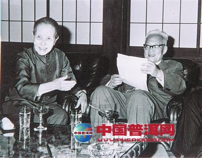普洱茶