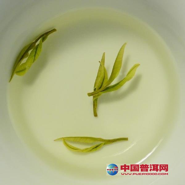 <u><a href='http://www.puer10000.com/puerzhishi/32854.html' target='_blank'>ն<u><a href='http://www.puer10000.com/puerzhishi/100997.html' target='_blank'></a></u></a></u>
