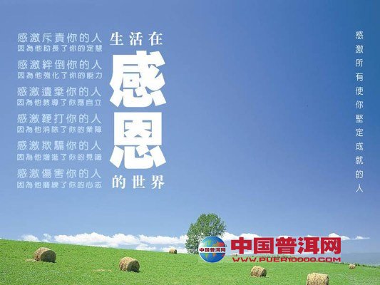 <u><a href='http://www.puer10000.com/puerzhishi/32854.html' target='_blank'>ն<u><a href='http://www.puer10000.com/puerzhishi/100997.html' target='_blank'></a></u></a></u>