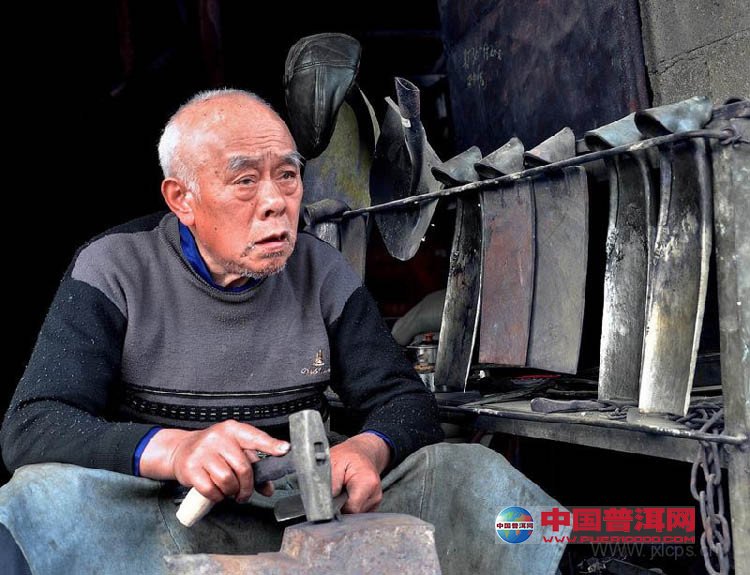 普洱茶