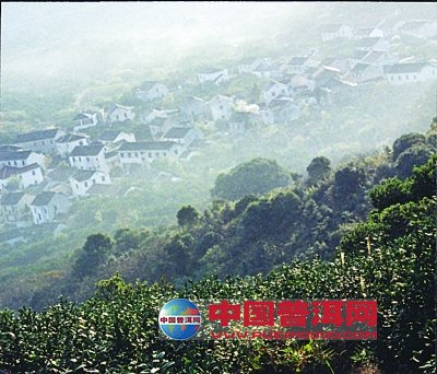 <u><a href='http://www.puer10000.com/puerzhishi/32854.html' target='_blank'>ն<u><a href='http://www.puer10000.com/puerzhishi/100997.html' target='_blank'></a></u></a></u>