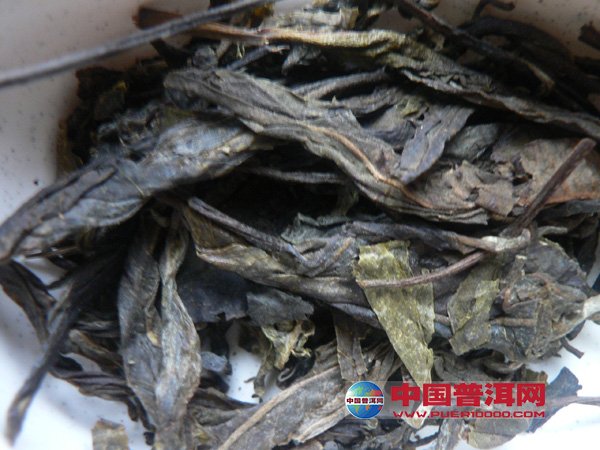 普洱茶