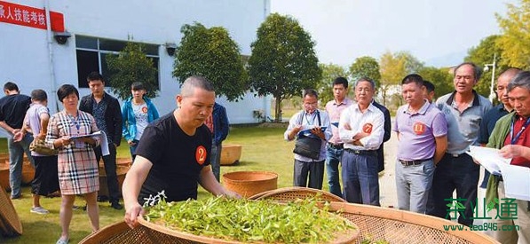普洱茶