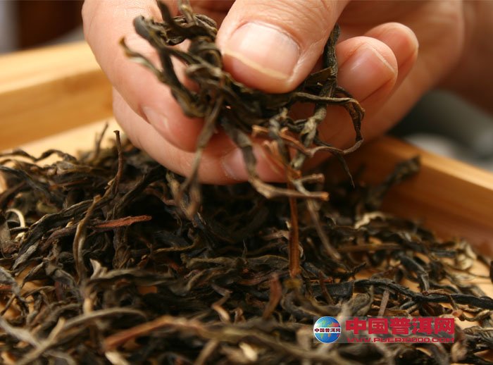 如何挑选好的普洱茶