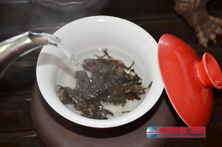 普洱茶