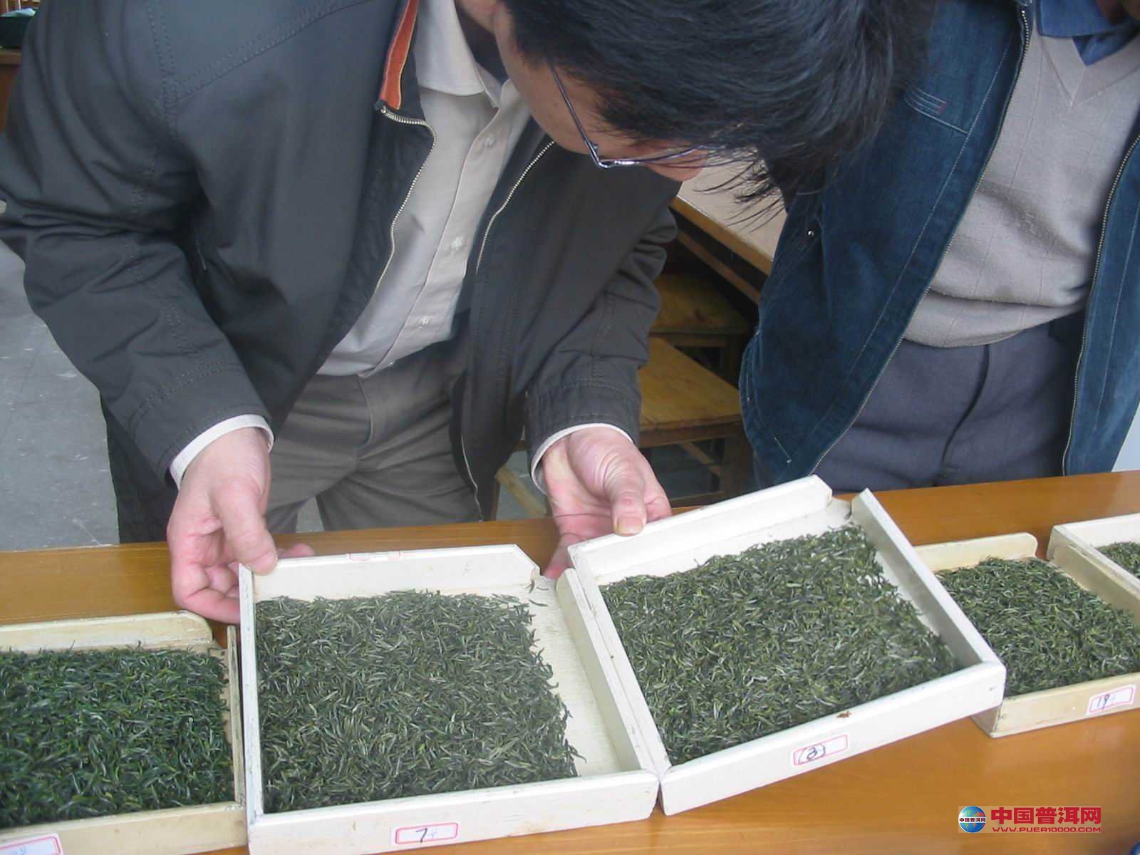 普洱茶