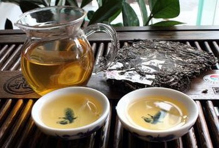 普洱茶