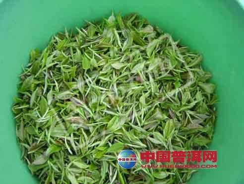 <u><a href='http://www.puer10000.com/puerzhishi/32854.html' target='_blank'>ն<u><a href='http://www.puer10000.com/puerzhishi/100997.html' target='_blank'></a></u></a></u>