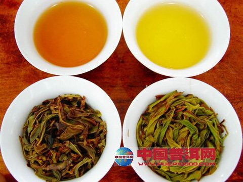 普洱茶