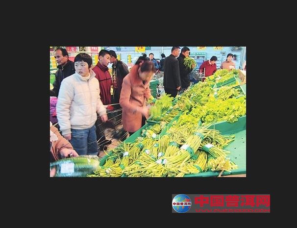 普洱茶