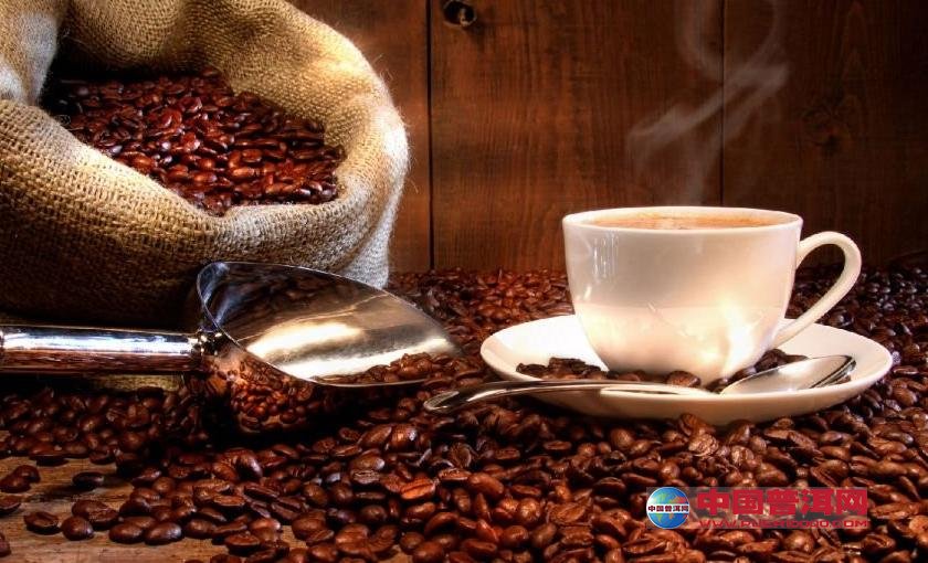 普洱茶