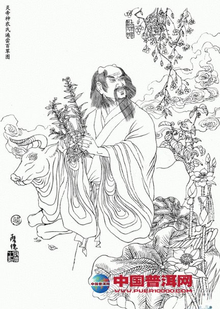 <u><a href='http://www.puer10000.com/puerzhishi/32854.html' target='_blank'>普洱<u><a href='http://www.puer10000.com/puerzhishi/100997.html' target='_blank'>茶</a></u></a></u>