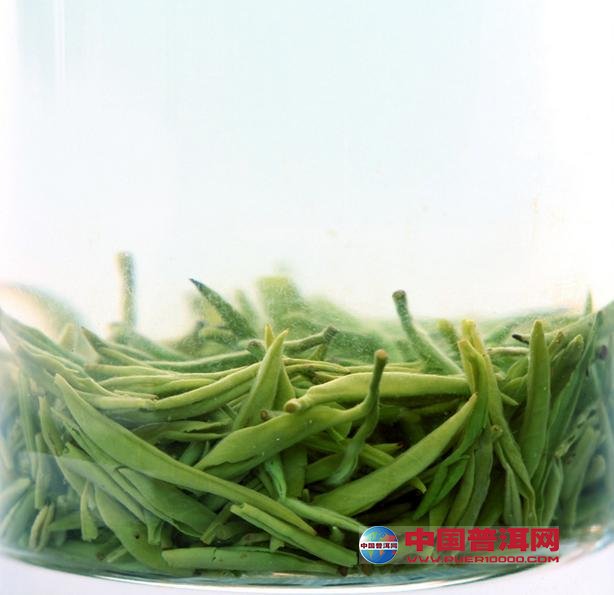普洱茶