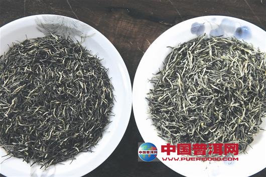 普洱茶