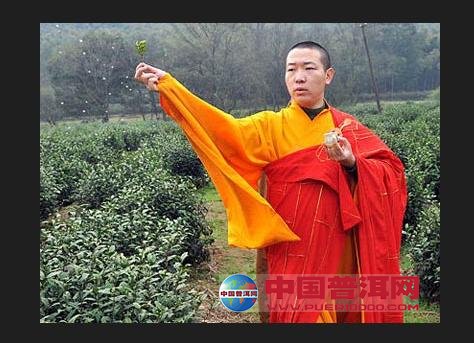 <u><a href='http://www.puer10000.com/puerzhishi/32854.html' target='_blank'>普洱<u><a href='http://www.puer10000.com/puerzhishi/100997.html' target='_blank'>茶</a></u></a></u>