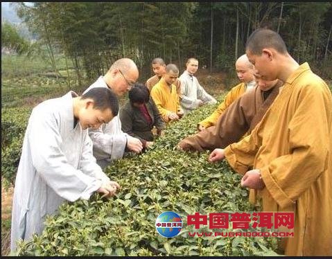 <u><a href='http://www.puer10000.com/puerzhishi/32854.html' target='_blank'>普洱<u><a href='http://www.puer10000.com/puerzhishi/100997.html' target='_blank'>茶</a></u></a></u>