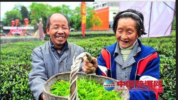 <u><a href='http://www.puer10000.com/puerzhishi/32854.html' target='_blank'>普洱<u><a href='http://www.puer10000.com/puerzhishi/100997.html' target='_blank'>茶</a></u></a></u>