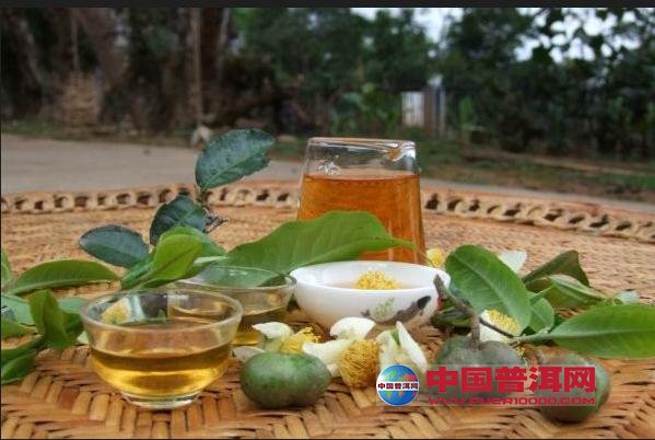 普洱茶
