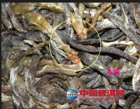普洱茶