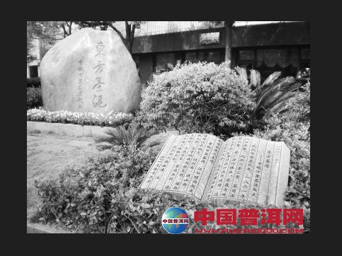 普洱茶