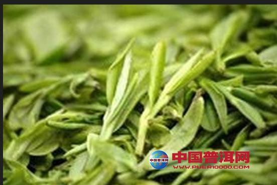 普洱茶
