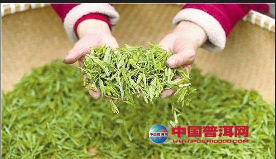 普洱茶