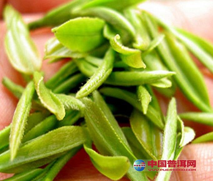 <u><a href='http://www.puer10000.com/puerzhishi/32854.html' target='_blank'>ն<u><a href='http://www.puer10000.com/puerzhishi/100997.html' target='_blank'></a></u></a></u>