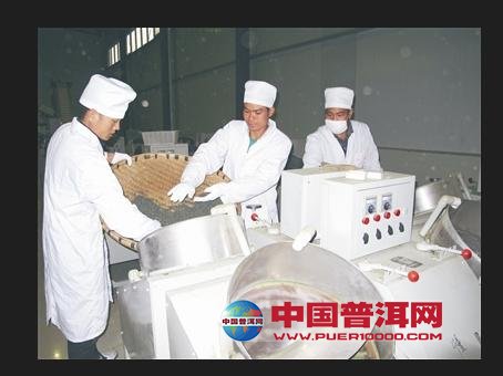 普洱茶
