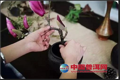 普洱茶