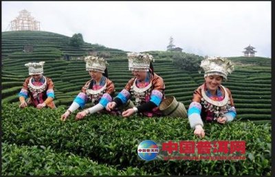 迪ƽ