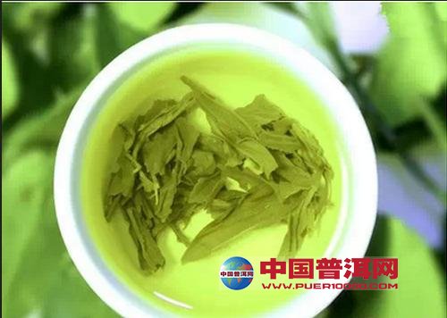 普洱茶
