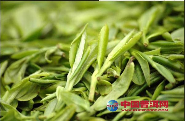 普洱茶