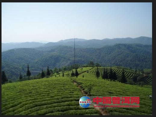 <u><a href='http://www.puer10000.com/puerzhishi/32854.html' target='_blank'>普洱<u><a href='http://www.puer10000.com/puerzhishi/100997.html' target='_blank'>茶</a></u></a></u>