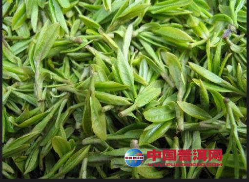 <u><a href='http://www.puer10000.com/puerzhishi/32854.html' target='_blank'>普洱<u><a href='http://www.puer10000.com/puerzhishi/100997.html' target='_blank'>茶</a></u></a></u>