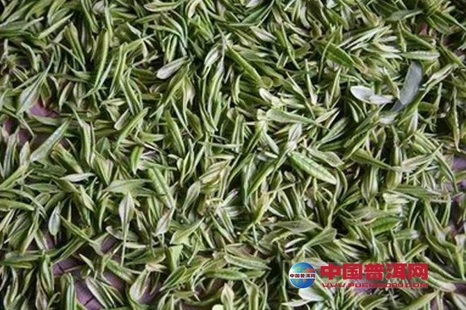普洱茶