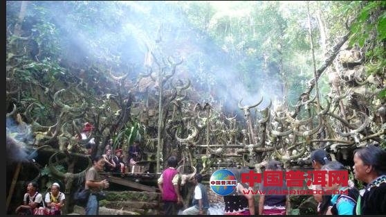<u><a href='http://www.puer10000.com/puerzhishi/32854.html' target='_blank'>普洱<u><a href='http://www.puer10000.com/puerzhishi/100997.html' target='_blank'>茶</a></u></a></u>