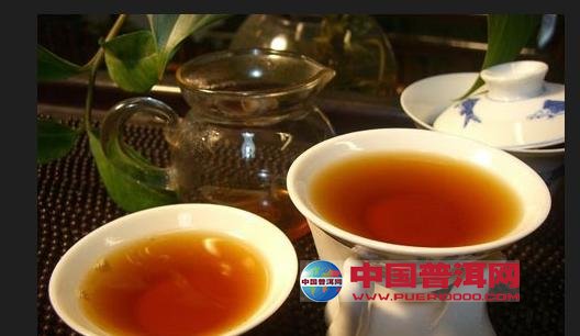 普洱茶