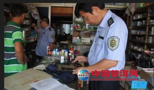 普洱茶
