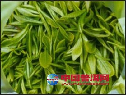 <u><a href='http://www.puer10000.com/puerzhishi/32854.html' target='_blank'>ն<u><a href='http://www.puer10000.com/puerzhishi/100997.html' target='_blank'></a></u></a></u>