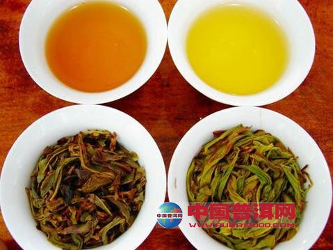 普洱茶