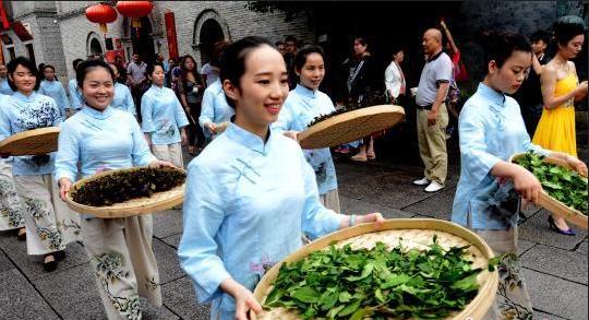 普洱茶