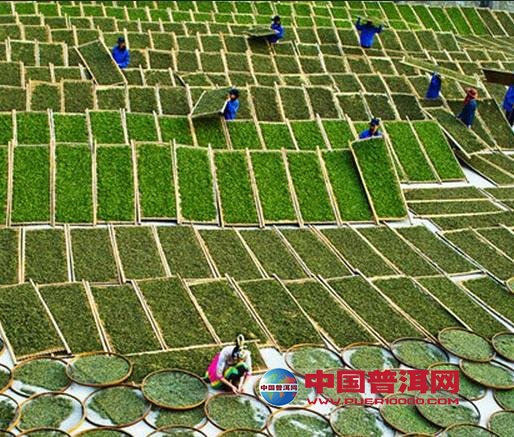 <u><a href='http://www.puer10000.com/puerzhishi/32854.html' target='_blank'>ն<u><a href='http://www.puer10000.com/puerzhishi/100997.html' target='_blank'></a></u></a></u>
