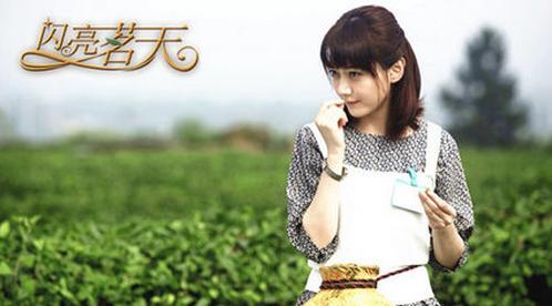 普洱茶